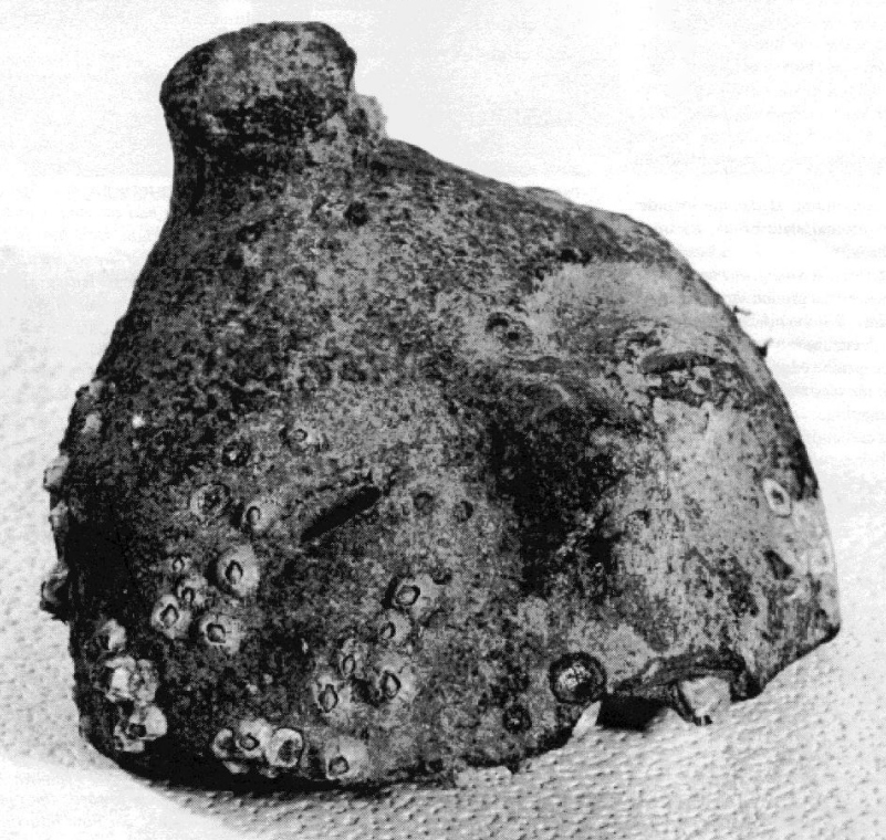 The Mystery of the Saturna Island Figurine Head