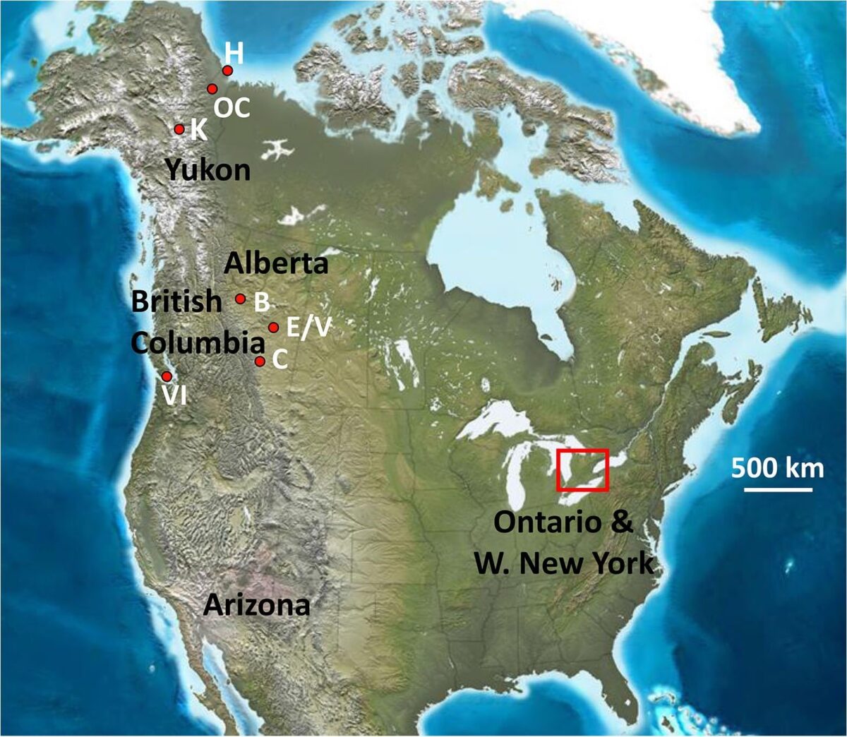 Taxonomy, location of origin and health status of proboscideans from Western Canada investigated using stable isotope analysis